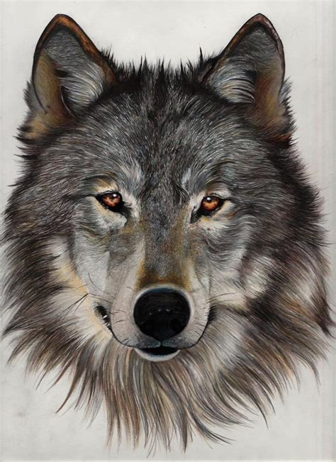 wolf pinterest|wolf painting ideas.